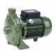 Centrifugalpump SAER - CMP79 för trädgårdar, brunnar och mer. | Centrifugalpump | Vattenpump |