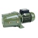 Självsugande vattenpump till trädgård SAER - M60 |  |  |